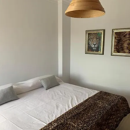 Apartment Caciga